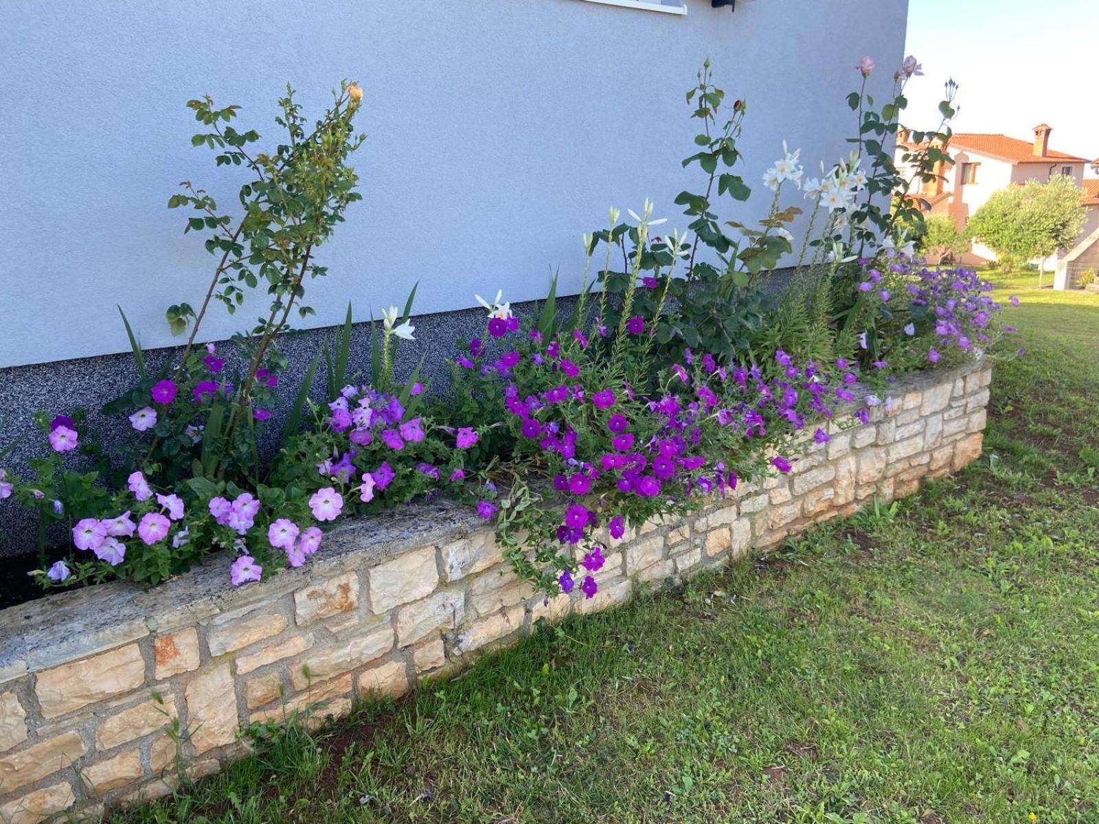 Holiday Home Mihaela Visnjan Bagian luar foto