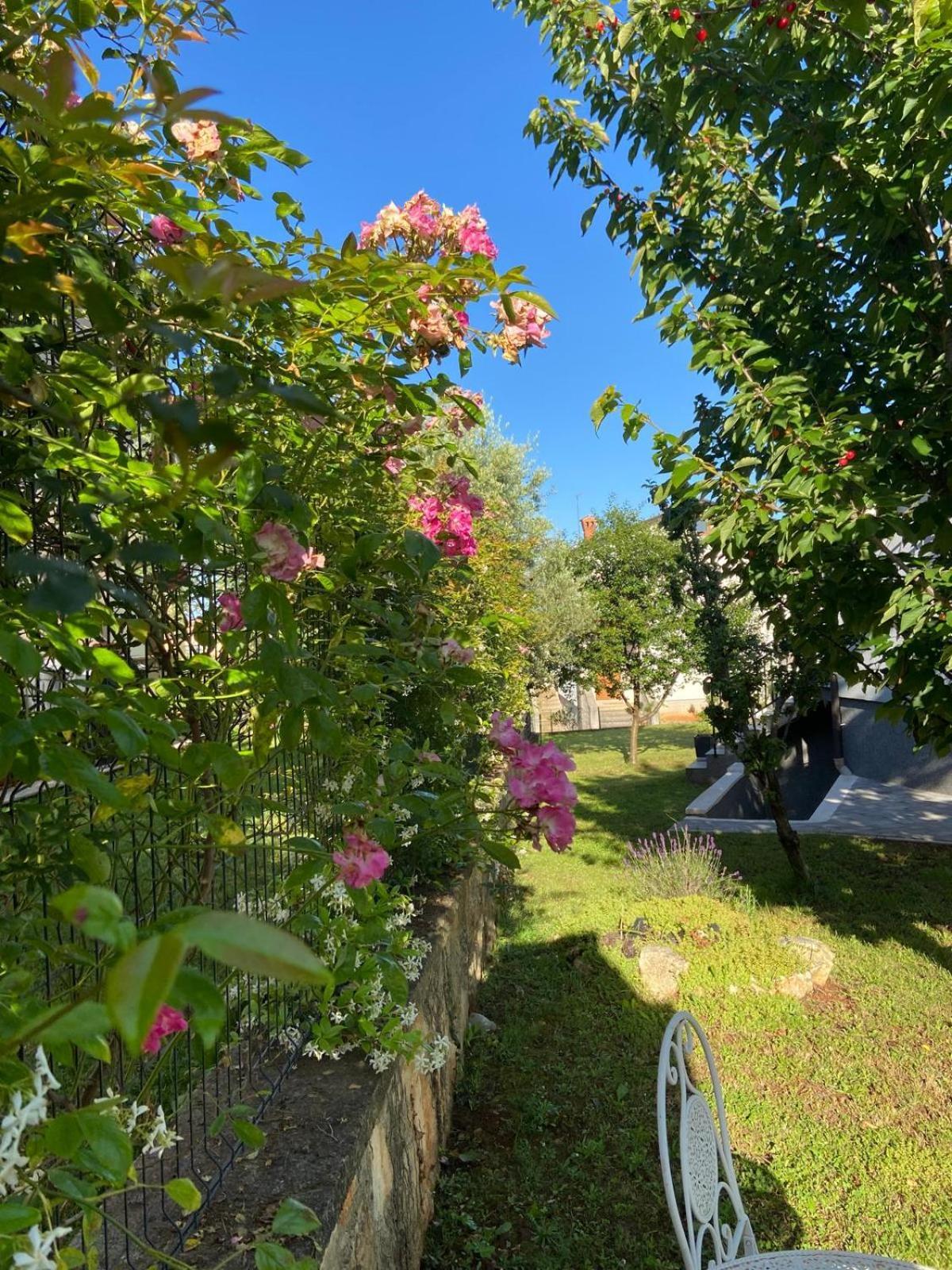Holiday Home Mihaela Visnjan Bagian luar foto